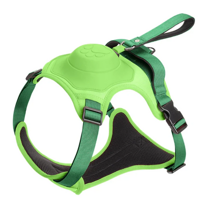 Dog Harness with Integrated Leash